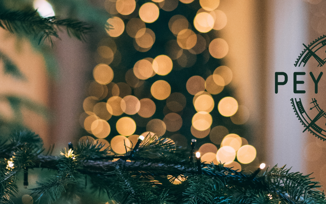 BILLET D’HUMEUR : NOËL 2019