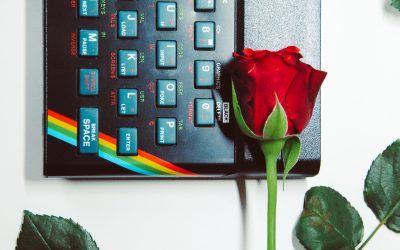 BILLET D’HUMEUR : Amour/Finance, une question d’appétence au risque