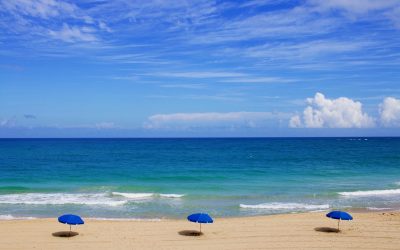 BILLET D’HUMEUR DU MOIS D’AOÛT : « Au bleu fixe ! »