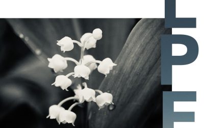 Billet d’humeur de mai 2021 : Réinventons notre patrimoine