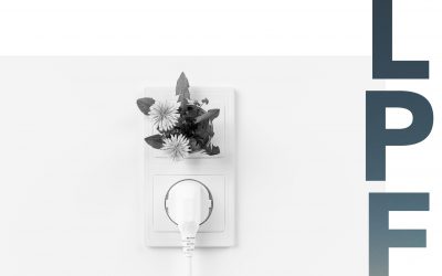 Focus de janvier 2022 : Épargne durable ou phénomène de mode ?