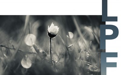 Billet d’humeur du mois mai 2022 : À vos souhaits !