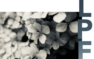 Billet d’humeur d’avril 2023 : Le temps est bon, investissons !