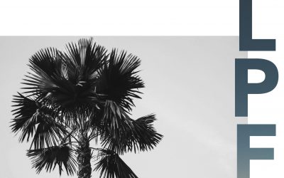 Billet d’humeur d’août 2025 : investissements de vacances