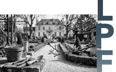 Billet d’humeur de mars 2026 : Le printemps du patrimoine – Faites bourgeonner vos investissements